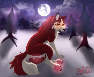 animal_genitalia animal_vulva anus canine_genitalia canine_vulva female feral fur genitals inviting looking_at_viewer moon orange_eyes pawpads paws plant presenting presenting_vulva red_body red_fur sky snow solo tree vulva white_body white_fur astralia_(art) balto_(series) universal_studios jenna_(balto) canid canine canis domestic_dog husky mammal nordic_sled_dog spitz hi_res