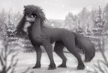 ambiguous_gender black_nose blue_eyes detailed_background feral floppy_ears fur grey_body grey_fur looking_at_viewer lop_ears outside plant snout snow snowing solo standing tail tree winter bloominglynx nintendo pokemon espi_(espiozx) furfrou generation_6_pokemon pokemon_(species) 2020 digital_media_(artwork) digital_painting_(artwork) painting_(artwork) shaded