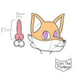 anatomically_correct anatomically_correct_genitalia anatomically_correct_penis animal_genitalia animal_penis anthro balls big_balls big_penis canid canine canine_genitalia canine_penis des_(desthefemboy) desthefemboy disembodied_genitalia disembodied_head disembodied_penis fox fur genitals girly guide_lines knot low_res male mammal measurement measurements model_sheet nude orange_body orange_fur penis purple_eyes simple_background smile smooth_balls smooth_penis solo white_background white_body white_fur