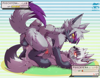 abstract_background anal anal_penetration balls blush bodily_fluids butt cum cum_in_ass cum_inside digitigrade dipstick_tail duo erection feral feral_on_feral feral_penetrated feral_penetrating feral_penetrating_feral fur gameplay_mechanics genital_fluids genitals gloves_(marking) grass grey_body grey_fur leaking_cum leg_markings looking_at_another lying male male/male male_penetrated male_penetrating male_penetrating_male markings on_back penetration penis plant purple_body purple_fur quadruped red_eyes sex snout socks_(marking) standing tail tail_markings thrusting tusks yellow_eyes luxuria nintendo pokemon generation_3_pokemon pokemon_(species) poochyena 2025 hi_res shaded watermark