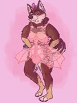 anthro brown_body brown_fur bulge clothed clothing crossdressing curled_tail ear_piercing fur gauged_ear hands_on_hips intersex lingerie looking_at_viewer multicolored_body piercing pink_clothing pink_lingerie scruffy smug tail translucent translucent_clothing meme_clothing archie_sheeb canid canine canis domestic_dog mammal shiba_inu spitz hi_res meme