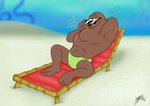 anthro beach beach_chair clothing eyewear flower flower_cloud_(spongebob) goo_lagoon looking_at_viewer lying male on_back plant sand seaside solo speedo sunglasses swimwear tan_body benjipaws nickelodeon spongebob_squarepants craig_mammalton mammal marine pinniped seal absurd_res hi_res