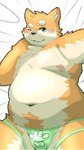 anthro belly big_belly blush clothing kemono male moobs navel nipples one_eye_closed overweight overweight_male solo underwear wink menmen_kesinn canid canine canis domestic_dog mammal 2024 9:16 hi_res