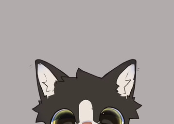 anthro black_body black_eyes black_fur fur kemono looking_at_viewer male multicolored_body multicolored_eyes multicolored_fur one_eye_closed solo white_body white_fur wink winking_at_viewer yellow_eyes asenjian domestic_cat felid feline felis mammal 2025 2d_animation animated credits frame_by_frame short_playtime sound video