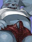 anthro belly blush bodily_fluids bulge clothing cute_fangs eyes_closed fangs genital_fluids genitals kemono male overweight overweight_anthro overweight_male penis precum shirt solo teeth topwear kita_9999 canid canine canis domestic_dog mammal 2020 3:4 absurd_res hi_res