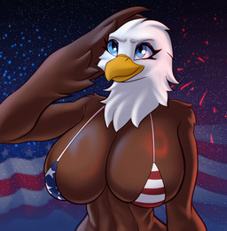 american_flag american_flag_bikini anthro beak big_breasts bikini biped blue_eyes breasts brown_body clothed clothing feathers female fireworks flag_bikini front_view gesture holidays huge_breasts night non-mammal_breasts salute skimpy small_waist smile solo star swimwear two-piece_swimsuit united_states_of_america white_body white_feathers wings albinefox 4th_of_july accipitrid accipitriform avian bald_eagle bird eagle sea_eagle animated loop shaded short_playtime