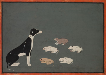 ambiguous_feral ambiguous_gender digitigrade feral floppy_ears folded_ears group lying markings mottled paws quadruped side_view simple_background spots spotted_body standing tail whisker_spots young young_ambiguous young_feral unknown_artist public_domain canid canine canis domestic_dog mammal 18th_century absurd_res ancient_art hi_res huge_filesize painting_(artwork) traditional_media_(artwork) traditional_painting_(artwork)
