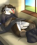 alex.fetter alex_(alex.fetter) animal_genitalia anthro balls bed bottomless bottomwear bottomwear_down brown_body brown_fur clothed clothing fully_sheathed fur furniture generation_8_pokemon genitals hi_res lying male nintendo obstagoon on_back open_mouth pokemon pokemon_(species) sharp_teeth sheath solo teeth tongue tongue_out white_body white_fur