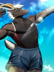 anthro armpit_hair black_body black_fur body_hair bottomwear braided_hair clothing eyewear fur glasses green_eyes hair horn male muscular muscular_anthro muscular_male outside pose shorts solo sportswear white_hair ken_hutagami lifewonders tokyo_afterschool_summoners tanngrisnir_(tas) bovid caprine goat mammal 3:4 digital_drawing_(artwork) digital_media_(artwork) hi_res portrait three-quarter_portrait