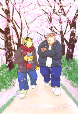 anthro blue_eyes bottomwear can cherry_blossom cherry_blossom_tree cherry_tree clothing container detailed_background duo flower footwear fruit_tree fur jacket landscape male male/male pants plant prunus_(flower) red_clothing red_shirt red_topwear road scarf shirt shoes striped_body striped_fur stripes topwear tree white_clothing white_footwear white_shirt white_shoes white_topwear yellow_clothing yellow_footwear yellow_shoes wo morenatsu juuichi_mikazuki torahiko_ooshima bear felid mammal pantherine tiger 2022