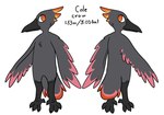 anthro male solo dinkden cole_murphy avian bird corvid corvus_(genus) crow oscine passerine model_sheet