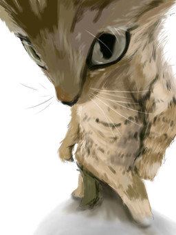 ambiguous_feral ambiguous_gender biped brown_body brown_fur eyebrows featureless_crotch feral fur grey_eyes high-angle_view humor looking_at_viewer multicolored_body multicolored_fur pose pupils semi-anthro shadow simple_background slit_pupils solo standing tan_body tan_fur two_tone_body two_tone_fur whiskers ishigiritsu kubrick_stare domestic_cat felid feline felis mammal 2025 3:4 colored digital_drawing_(artwork) digital_media_(artwork) hi_res shaded