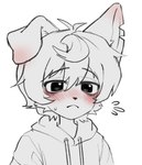 anthro blush bodily_fluids clothed clothing floppy_ears flying_sweatdrops fur hair hoodie kemono looking_at_viewer male male_anthro notched_ear short_hair solo sweat sweatdrop topwear young young_anthro young_male acorn_furry canid canine canis domestic_dog mammal 2024 digital_media_(artwork) hi_res restricted_palette