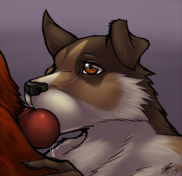 ambiguous_gender ambiguous_penetrated anthro anthro_penetrated bodily_fluids brown_body brown_eyes brown_fur claws duo fur genitals gradient_background male male/ambiguous male_penetrating male_penetrating_ambiguous multicolored_body multicolored_fur oral penetration penis penis_in_mouth red_body red_fur sex simple_background white_body white_fur deezmo canid canine mammal 2013
