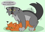 anal anal_penetration angry ass_up dialogue duo ears_down feral feral_on_feral jealous looking_at_another male male/male motion_lines penetration pivoted_ears raised_tail sex tail talking_feral text conditional_dnp deadingdog warriors_(book_series) firestar_(warriors) graystripe_(warriors) domestic_cat felid feline felis mammal english_text hi_res