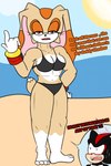 aged_up anthro barefoot big_breasts bikini black_nose breasts cleavage clothed clothing duo feet female gloves handwear looking_at_viewer male male/female multicolored_body muscular muscular_anthro muscular_female speech_bubble swimwear two-piece_swimsuit two_tone_body soulyagami64 sega sonic_the_hedgehog_(series) cream_the_rabbit shadow_the_hedgehog eulipotyphlan hedgehog lagomorph leporid mammal rabbit hi_res