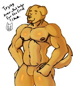 anthro armpit_hair belly body_hair floppy_ears folded_ears fur male musclegut muscular nipples practice solo standing text tongue yellow_body yellow_fur shrederr_8 bird_dog canid canine canis domestic_dog hunting_dog labrador mammal retriever hi_res sketch