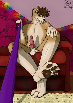 animal_genitalia anthro balls collar dominant dominant_male erection feet foot_fetish foot_play foreshortening fur genitals hair leash leash_pull leashed_viewer looking_at_viewer male nude pawpads paws penis simple_background smile solo toes white_body white_fur omithefox canid canine canis domestic_dog mammal shiba_inu spitz absurd_res digital_media_(artwork) hi_res