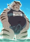 anthro balls_outline belly big_belly blush bulge clothed clothing crossdressing detailed_bulge erection erection_under_clothing fur genital_outline humanoid_hands kemono male one-piece_swimsuit overweight overweight_anthro overweight_male penis_outline school_swimsuit solo swimwear text water white_body white_fur ptcmtr lifewonders tokyo_afterschool_summoners licho_(tas) felid mammal pantherine tiger 2021 absurd_res hi_res japanese_text