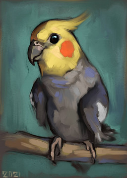 beak black_eyes branch feathers feet feral grey_beak grey_body grey_feathers on_branch red_cheeks simple_background solo talons teal_background toes wings yellow_body yellow_feathers yellow_head alexpahomov avian bird cockatiel cockatoo parrot 2021 digital_media_(artwork) digital_painting_(artwork) painting_(artwork)