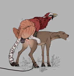 balls duo erection female female_penetrated feral feral_on_feral feral_penetrated feral_penetrating feral_penetrating_feral forced from_behind_position genitals hooves interspecies male male/female male_penetrating male_penetrating_female penetration penis perching_position quadruped rictal_bristles rope scuted_arms scutes sex stripes tail unguligrade vaginal vaginal_penetration vulva jeffusherb mythology aterius_(kehreazerith) accipitrid accipitriform avian bearded_vulture bird felid gryphon hybrid mammal mythological_avian mythological_creature old_world_vulture pantherine tiger vulture
