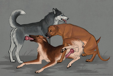 anal anal_knotting anal_penetration animal_genitalia animal_penis anus balls black_nose blue_eyes brown_body brown_fur canine_genitalia canine_penis cheek_tuft erection eyes_closed facial_tuft fangs fellatio feral feral_on_feral feral_penetrated feral_penetrating feral_penetrating_feral floppy_ears fur genitals grass grey_body grey_fur group group_sex intraspecies knot knot_root knotted_penis knotting male male/male male_penetrated male_penetrating male_penetrating_male open_mouth oral oral_penetration penetration penile penile_penetration penis penis_in_ass plant red_penis sex sheath side_view tan_balls tan_body tan_fur teeth threesome trio tuft white_body white_fur yellow_eyes heatherwolf canid canine canis domestic_dog mammal