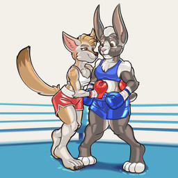 4_toes anthro barefoot blonde_hair bodily_fluids bottomwear boxing boxing_gloves boxing_shorts bra breasts brown_eyes brown_nose chest_tuft claws clothing dipstick_tail duo feet female fighting_ring fur grey_body grey_fur hair handwear highlights_(coloring) intimidation long_ears markings midriff pink_nose shorts slightly_chubby smile smirk sport sports_bra sweat sweatdrop tail tail_markings tan_body tan_fur toe_claws toes tuft underwear white_body white_fur white_hair yellow_eyes dcheese ashley_(blitzeye) riley_(blitzeye) canid canine fennec_fox fox lagomorph mammal true_fox 1:1 2022 absurd_res digital_media_(artwork) hi_res