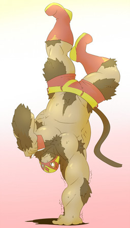 anthro armpit_hair biceps big_muscles bodily_fluids body_hair book boots bottomwear brown_body brown_fur brown_skin clothed clothing footwear fur handstand huge_muscles long_tail male manly mask muscular muscular_anthro muscular_male no_pupils on_one_hand pecs pink_background reading serratus shoes shorts simple_background solo sweat tail toony topless white_background wrestler happyending haplorhine mammal monkey primate 2015 full-length_portrait portrait