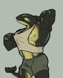 anthro black_body bottomwear clothed clothed_anthro clothed_male clothing clothing_pull grey_bottomwear grey_clothing grey_shorts hand_behind_head hand_behind_own_head ineffective_clothing male multicolored_body muscular muscular_anthro muscular_male nipple_slip nipples pecs revealing_shirt revealing_tank_top shirt shirt_pull shorts simple_background skimpy solo tail tank_top topwear topwear_pull two_tone_body white_clothing white_shirt white_tank_top white_topwear yellow_body mandrakepool aquatic cetacean dolphin mammal oceanic_dolphin orca toothed_whale hi_res
