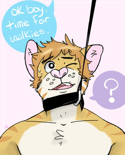 5_fingers anthro bodily_fluids chest_tuft collar dialogue fingers fur hair leash leash_pull male messy_hair nervous nervous_sweat one_eye_closed pink_nose question_mark solo striped_body striped_fur stripes submissive sweat tan_body tan_fur tuft walkies whisker_spots white_body white_fur p_rindustries chuck_(p_rindustries) domestic_cat felid feline felis mammal hi_res