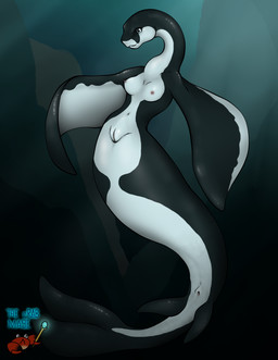 anthro anus black_body breasts female fin flippers genitals grey_eyes multicolored_body navel nipples nude solo split_form tail tail_fin vulva white_body the_crab_mage aquatic cetacean mammal merfolk hi_res