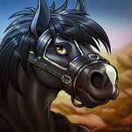 anthro black_body black_clothing black_hair black_topwear blue_sky blurred_background clothed clothing glistening glistening_eyes hair looking_at_viewer male messy_hair mouth_closed muzzle_(object) muzzled outside rock sky solo topwear yellow_eyes slash_freezen equid equine horse mammal 1:1 2022 artist_name bust_portrait dated portrait