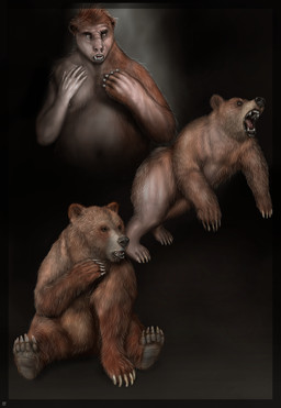 basic_sequence brown_body brown_fur feral fur linear_sequence male shocked solo surprised three_frame_image three_frame_sequence transformation transformation_sequence splice_(artist) bear mammal 2013 hi_res sequence
