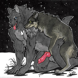 all_fours anal anal_penetration animal_genitalia animal_penis anthro anthro_on_feral anthro_penetrated balls bestiality black_nose blue_eyes bodily_fluids canine_genitalia canine_penis claws digitigrade duo erection fangs feral feral_penetrating feral_penetrating_anthro feral_penetrating_male finger_claws from_behind_position fur genital_fluids genitals grass green_eyes grey_balls grey_body grey_claws grey_fur grey_tail intraspecies intraspecies_bestiality knot knotted_penis larger_anthro larger_male larger_penetrated male male/male male_anthro male_feral male_on_feral male_penetrated male_penetrating male_penetrating_anthro male_penetrating_male mating_grip mounting night penetration penis plant precum quadruped sex size_difference sky smaller_feral smaller_male snout star starry_sky tail teeth toe_claws tongue tongue_out whiskers heatherwolf canid canine canis mammal wolf hi_res