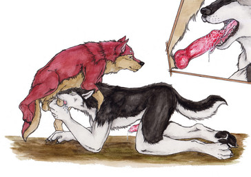 anatomically_correct anatomically_correct_genitalia animal_genitalia animal_penis anthro anthro_on_feral anthro_penetrated balls bestiality black_body black_fur black_nose bodily_fluids canine_genitalia canine_penis claws close-up cum cum_in_mouth cum_inside cutaway deep_throat drinking drinking_cum duo ejaculation erection face_mounting fangs fellatio feral feral_penetrating feral_penetrating_anthro fur genital_fluids genitals handjob intraspecies intraspecies_bestiality knot knotted_penis knotting male male/male male_on_feral male_penetrated male_penetrating male_penetrating_male multicolored_body multicolored_fur nude nude_anthro oral oral_knotting oral_penetration pawpads penetration penile penile_penetration penis penis_in_mouth pink_penis pink_tongue raised_leg red_body red_fur red_penis sex sheath simple_background snout sucking tail tan_balls tan_sheath teeth tongue two_tone_body two_tone_fur kola_(artist) canid canine canis mammal wolf 2017 traditional_media_(artwork)