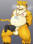 balls belly big_belly bodily_fluids clothing cock_sock footwear genitals hand_behind_back humanoid_genitalia male name_tag nipples nude penis_clothing socks solo sweat sweatdrop tail 0hou2ryu canid canine canis mammal wolf hi_res