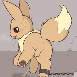 animal_genitalia anus balls blush bodily_fluids bound breath brown_body brown_eyes brown_fur chain chained chained_cuffs fangs feral flaccid fur genital_fluids genitals looking_at_viewer looking_back male panting pawpads paws peeing penis sheath simple_background simple_coloring small_genitalia small_penis solo sweat teeth urine white_background inukami_hikari nintendo pokemon eevee generation_1_pokemon pokemon_(species) digital_media_(artwork) hi_res