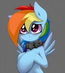 2012 blue_body blue_feathers blue_fur blush collar equid equine feathered_wings feathers female feral friendship_is_magic fur grumblepluck hair hasbro hi_res mammal multicolored_hair my_little_pony mythological_creature mythological_equine mythology pegasus rainbow_dash_(mlp) rainbow_hair smile solo wings