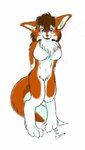 anthro blue_eyes breasts brown_body brown_fur brown_hair cheek_tuft claws countershading facial_tuft female fur hair hands_behind_back long_hair looking_at_viewer neck_tuft open_mouth paws pose smile standing tail text tuft white_body white_fur kazuteru_inui shiba_(kazuteru_inui) canid canine canis mammal wolf 1998 traditional_media_(artwork) watermark