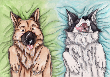 ambiguous_feral ambiguous_gender bedding bedding_background black_body black_fur black_nose bodily_fluids cum cum_in_mouth cum_inside cum_on_face duo eyes_closed feral fur genital_fluids glistening glistening_eyes lying on_back open_mouth orange_body orange_eyes orange_fur white_body white_fur kola_(artist) border_collie canid canine canis collie domestic_dog german_shepherd herding_dog mammal pastoral_dog sheepdog