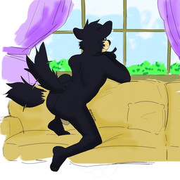 anthro balls black_body black_fur butt curtains eyewear fur furniture genitals glasses kneeling looking_out_window male nude on_sofa sofa solo tail tail_motion tailwag whisker_spots window p_rindustries canid canine canis domestic_dog mammal 1:1 hi_res