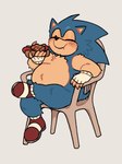 anthro blue_body blue_fur blush blush_lines chair cheek_bulge chili_dog clothing duo eating eyes_closed food footwear fur furniture gloves handwear hot_dog looking_pleasured male on_chair overweight overweight_anthro overweight_male pose red_clothing red_footwear red_shoes shoes sitting sitting_on_chair hyggezone sega sonic_the_hedgehog_(series) sonic_the_hedgehog eulipotyphlan hedgehog mammal hi_res