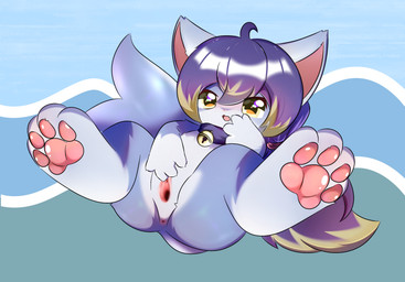 anthro blue_body blue_fur blush butt butt_from_the_front feet female foot_focus front_view fur genitals hair kemono multicolored_body multicolored_fur open_mouth pawpads paws purple_hair sex_toy solo spread_legs spreading vaginal vulva white_body white_fur young shiningcanc aquatic cetacean domestic_cat felid feline felis hybrid mammal whale hi_res