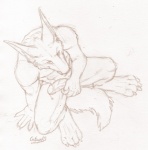 anthro crouching erection genitals male penis simple_background solo tail tongue white_background catwolf endenden canid canine canis jackal mammal monochrome sketch