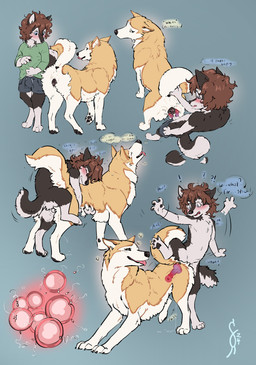 accidental_knotting animal_genitalia animal_penis animal_vulva anthro anthro_on_feral anthro_penetrating anthro_penetrating_feral anus balls bestiality bestiality_impregnation biped blush bodily_fluids bottomwear brown_hair canine_genitalia canine_penis canine_vulva cervical_contact cervical_penetration claws clothed clothing countershade_face countershade_fur countershade_tail countershade_torso countershading cute_fangs dialogue duo erection exclamation_point fangs female female_feral female_on_anthro female_penetrated feral feral_penetrated fingers fur genital_fluids genitals green_clothing green_topwear hair humanoid_on_feral impregnation internal internal_vaginal interrobang intraspecies intraspecies_bestiality knot knotting male male/female male_humanoid male_on_feral male_penetrating male_penetrating_female multiple_ova open_mouth ovum pawpads paws penetration penile penile_penetration penis penis_in_vagina perineum plump_labia quadruped question_mark sex sheath shorts shota sperm_cell tail teeth text tongue tongue_out topwear translucent translucent_body vaginal vaginal_fluids vaginal_knotting vaginal_penetration vulva young young_anthro young_male feelferal cole_(colesutra) canid canine canis domestic_dog humanoid mammal absurd_res english_text hi_res
