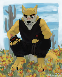 anthro black_bottomwear black_clothing black_pants black_shirt black_tank_top black_topwear bottomwear cactus clothing day eye_scar facial_scar fingerless_gloves flower fur gloves handwear male notched_ear outside pants plant poppy_(flower) scar shirt snout snout_scar solo tank_top text topwear yellow_body yellow_fur nullyeen remember_the_flowers cooper_krager canid canine canis mammal wolf 2022 4:5 artist_name dated hi_res