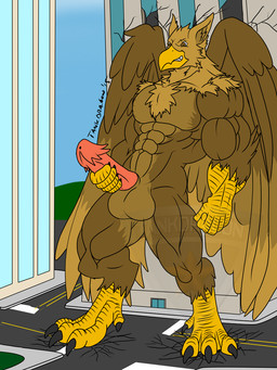 5_fingers abs anthro balls beak brown_body building building_destruction city city_background claws destruction detailed_background erection feathered_wings feathers feet finger_claws fingers genitals hair house humanoid_genitalia humanoid_penis macro male masturbation muscular muscular_anthro muscular_male nude outside paws pecs penile penis solo toe_claws toes wings tankdragon mythology carpo avian gryphon mythological_avian mythological_creature