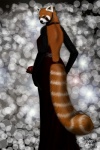 abstract_background anthro clothing dress evening female flower glamorous glitter looking_back nightmare_fuel plant rose_(flower) simple_background solo soul_devouring_eyes tail foxia ailurid mammal red_panda 2011 2:3 hi_res