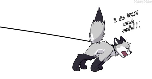 black_body black_fur collar feral fur grey_body grey_fur leash male solo text white_body white_fur miavumav danya_(miavumav) canid canine canis jackal mammal hi_res
