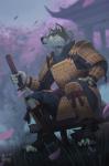 anthro armor black_nose blue_eyes claws clothed clothing full_armor fur grey_body grey_fur holding_object humanoid_hands katana lamellar_armor male melee_weapon samurai sitting solo splint_armor sword warrior weapon hitmore canid canine canis mammal wolf 2019 digital_media_(artwork) hi_res